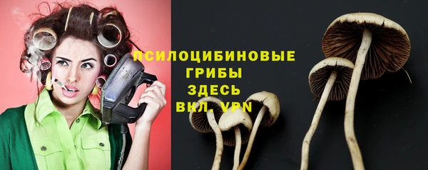 твердый Елизово