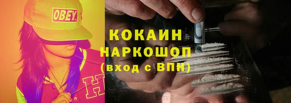 твердый Елизово