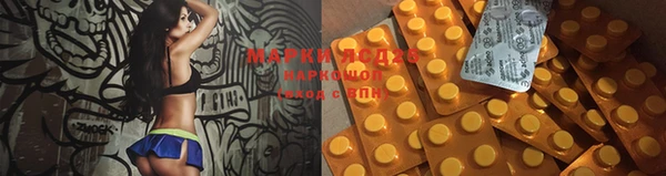 прущая мука Ельня