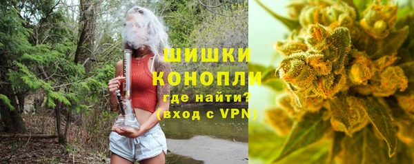 прущая мука Ельня