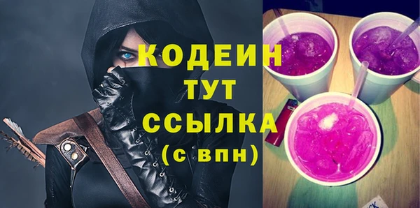 твердый Елизово