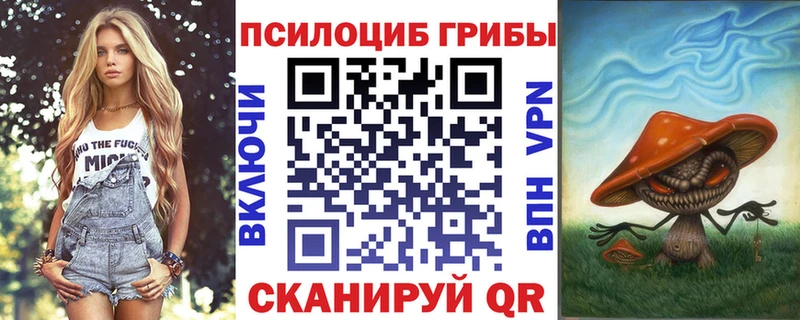 Купить  Ядрин  Псилоцибиновые грибы ЛСД 